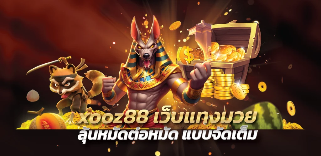 xooz88 เว็บแทงมวย ลุ้นหมัดต่อหมัด แบบจัดเต็ม